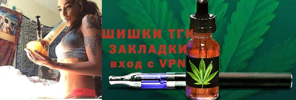 молекула духа Осташков