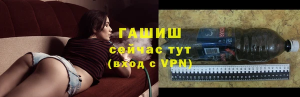 молекула духа Осташков