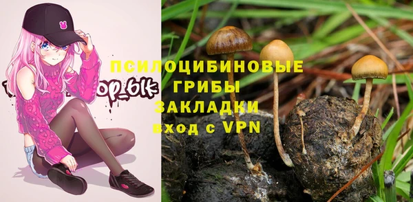 шишки Абдулино