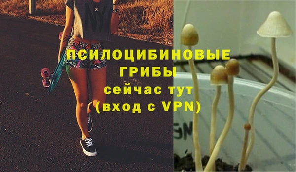 молекула духа Осташков