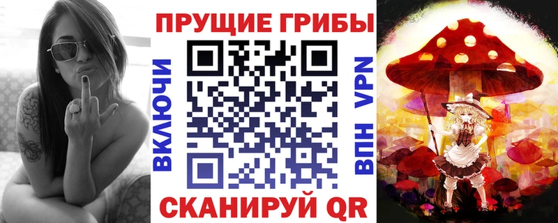omg ссылки  наркотики  Карталы  Псилоцибиновые грибы мицелий 